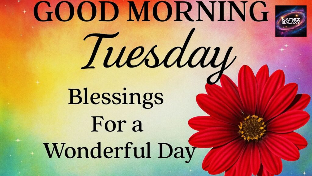 Good Morning Tuesday Blessings 