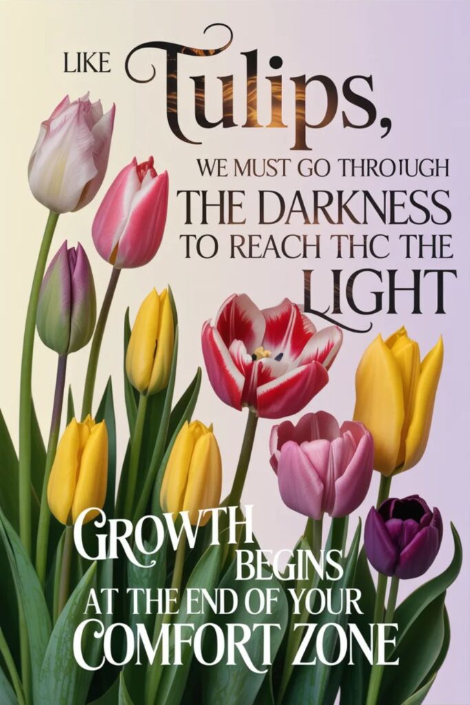 Inspirational Tulip Quotes About Transformation