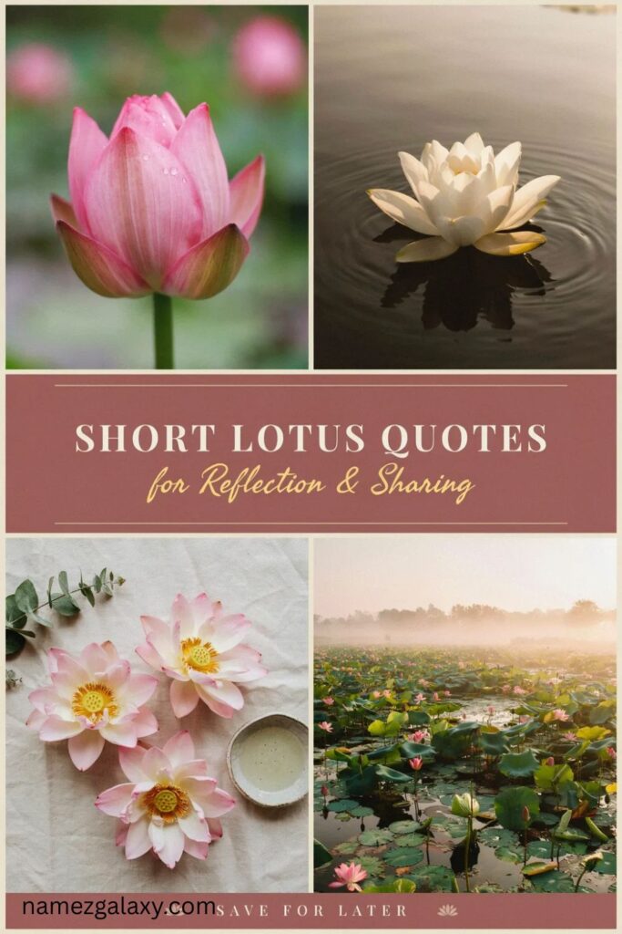 Short Lotus Quotes for Reflection and Sharing