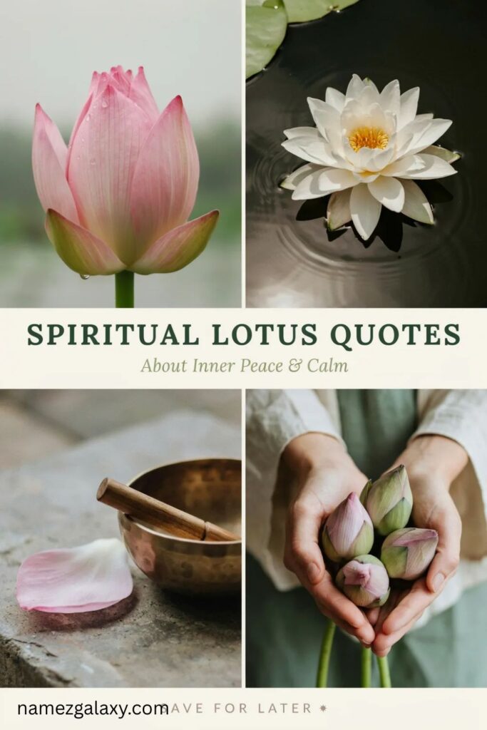 Spiritual Lotus Quotes About Inner Peace and Calm
