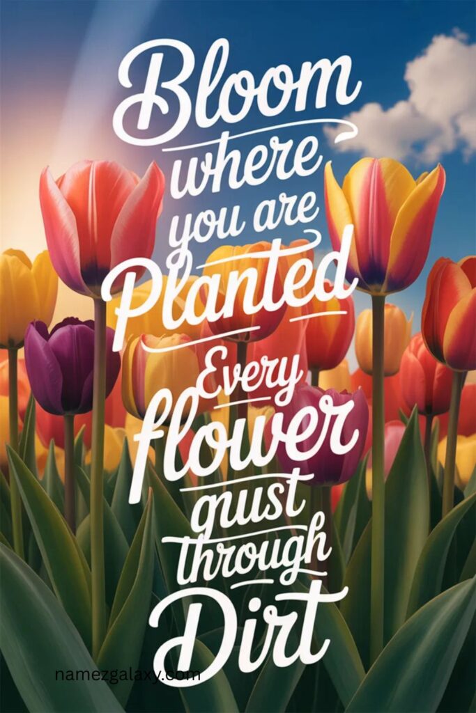 Uplifting Tulip Quotes for Motivation and Confidence