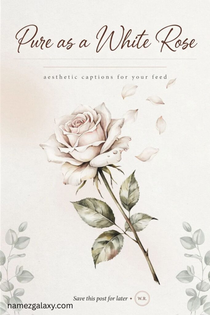 White Rose Captions for Instagram
